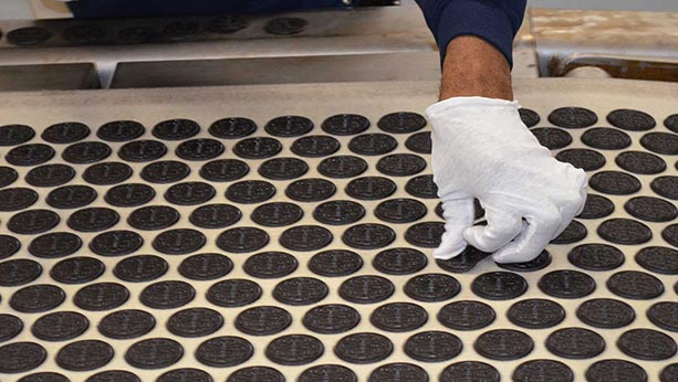 Gloved hand working on an assembly line handling Oreo cookie biscuits.