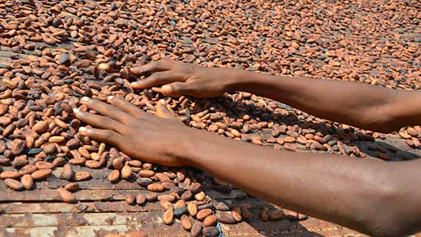 Asian children at a school sit down eating bowls of food while 1 stands in the foreground also eating from a bowl and smiling.