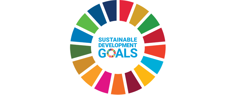 UN Sustainable Development Goals grid