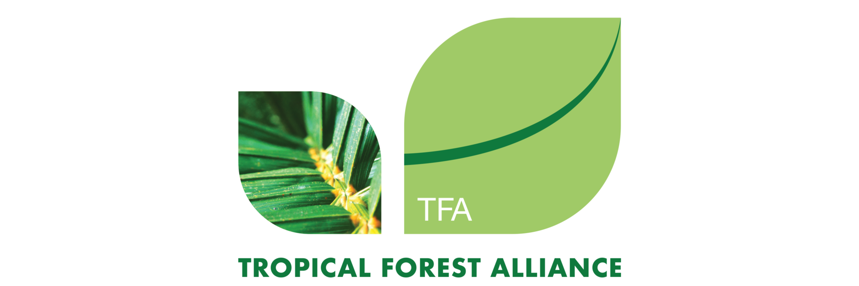 TFA logo