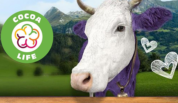 Cocoa life logo with a purple and white cow next to it with penciled in hearts. Background is a range of mountains and a field.